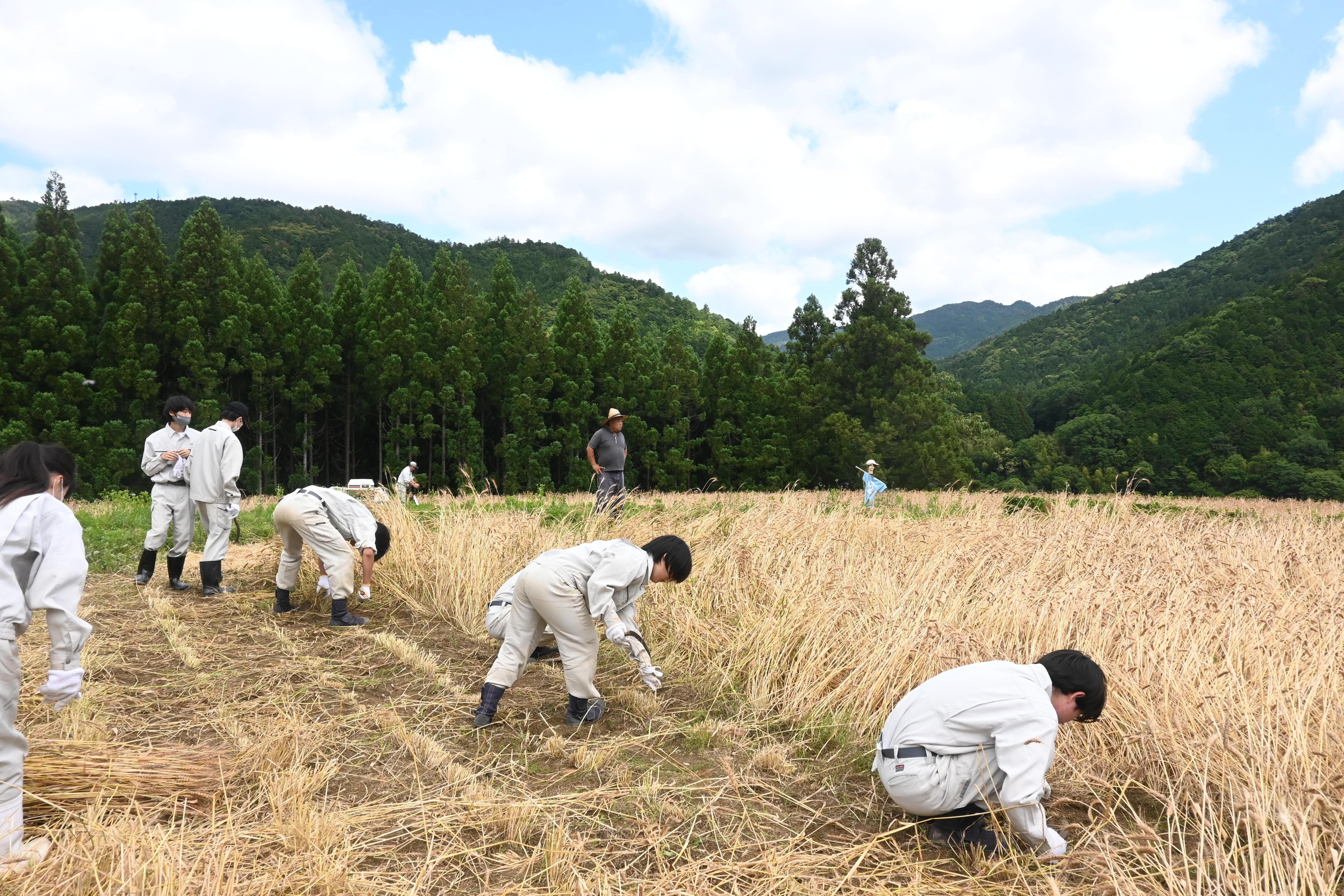 DSC_0728-min.JPG