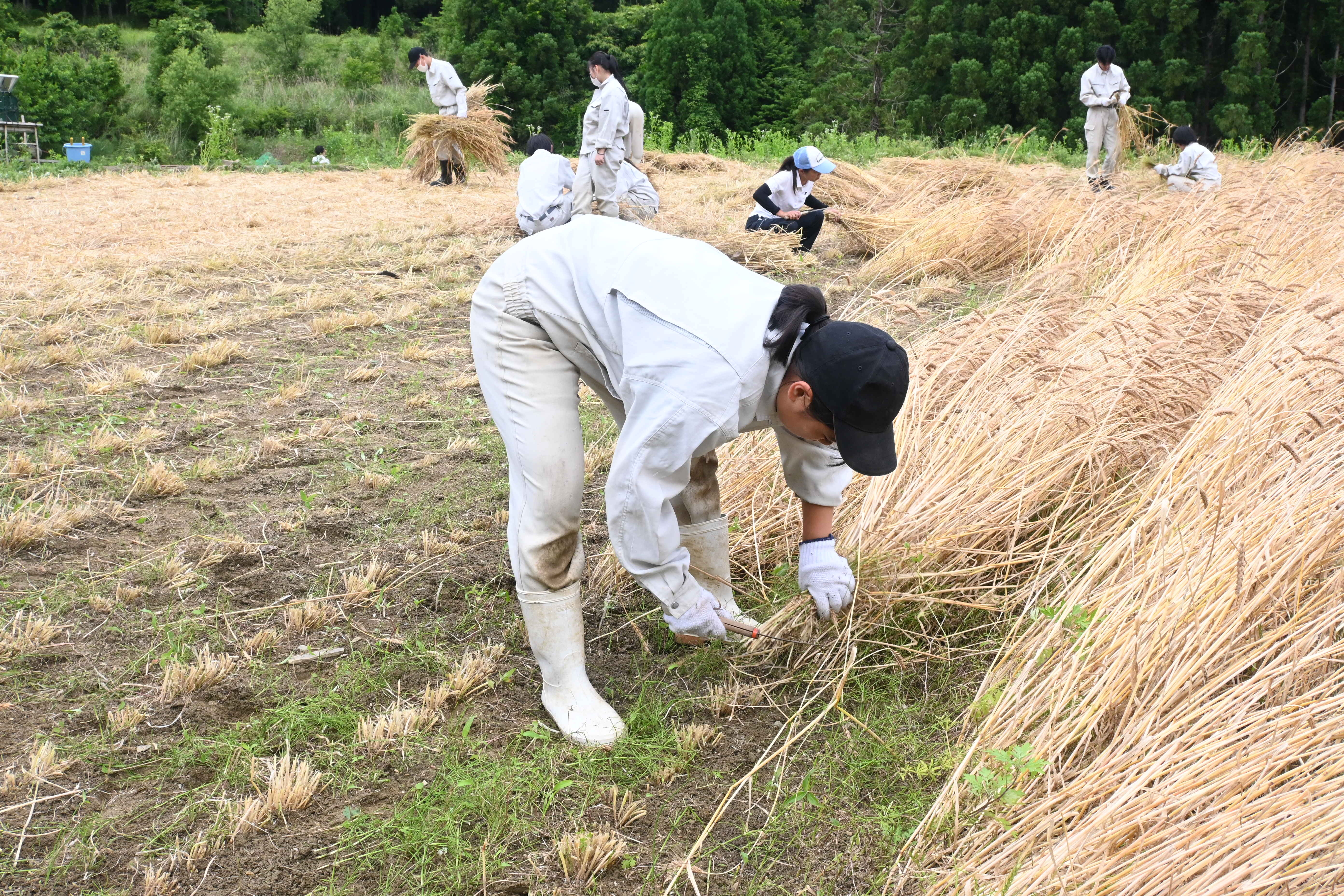 DSC_0809-min.JPG
