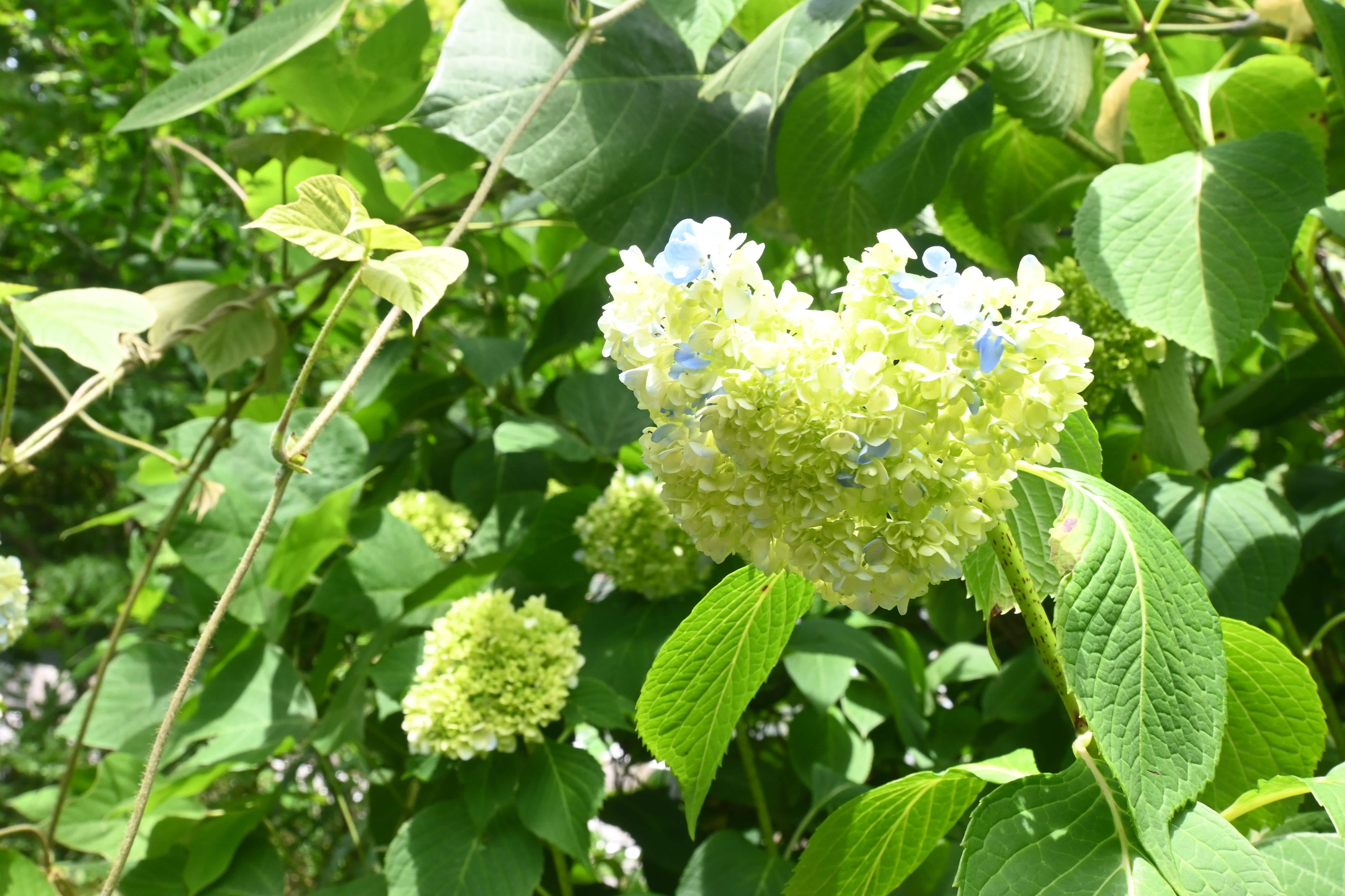 DSC_0172-min.JPG