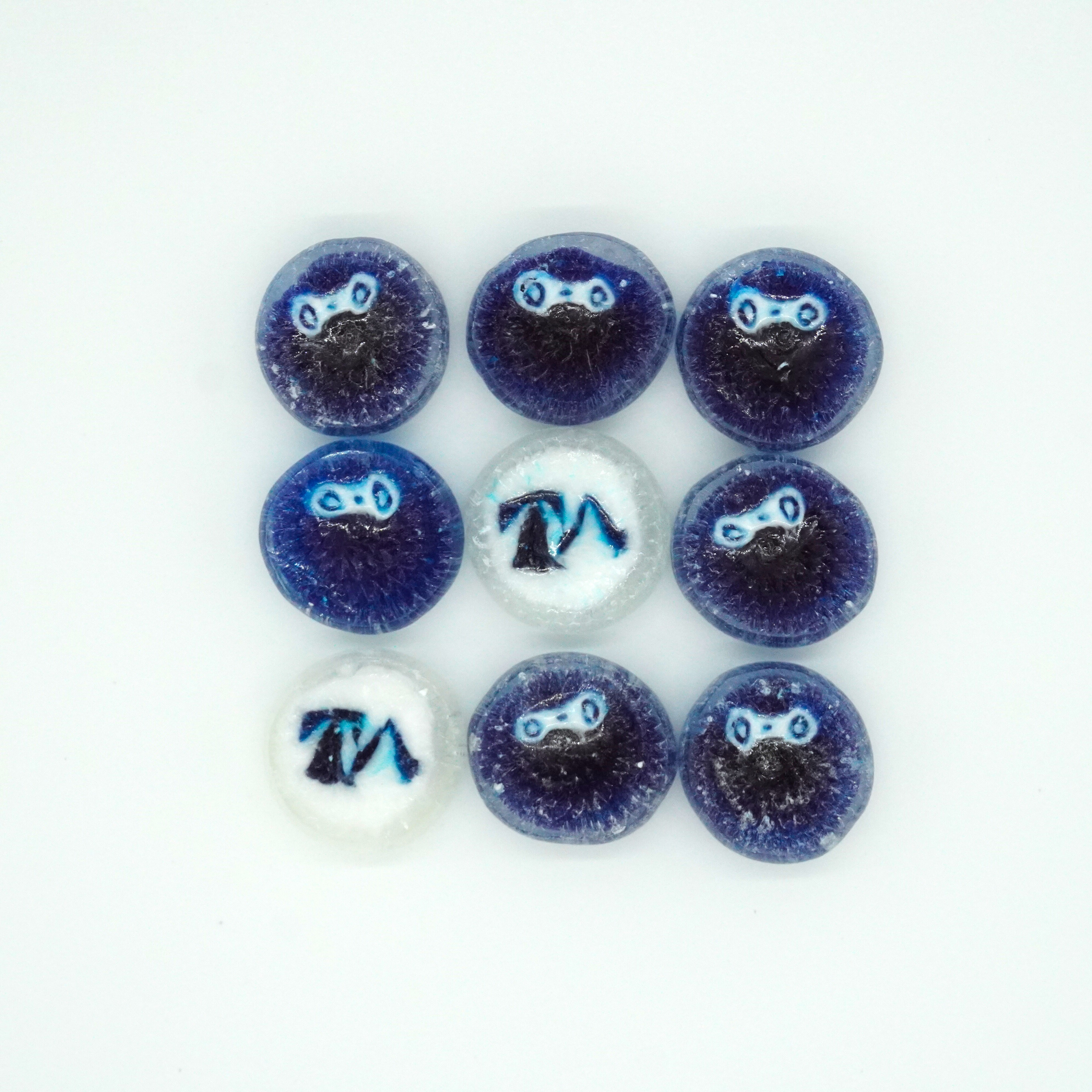 d445f8e74d.jpg