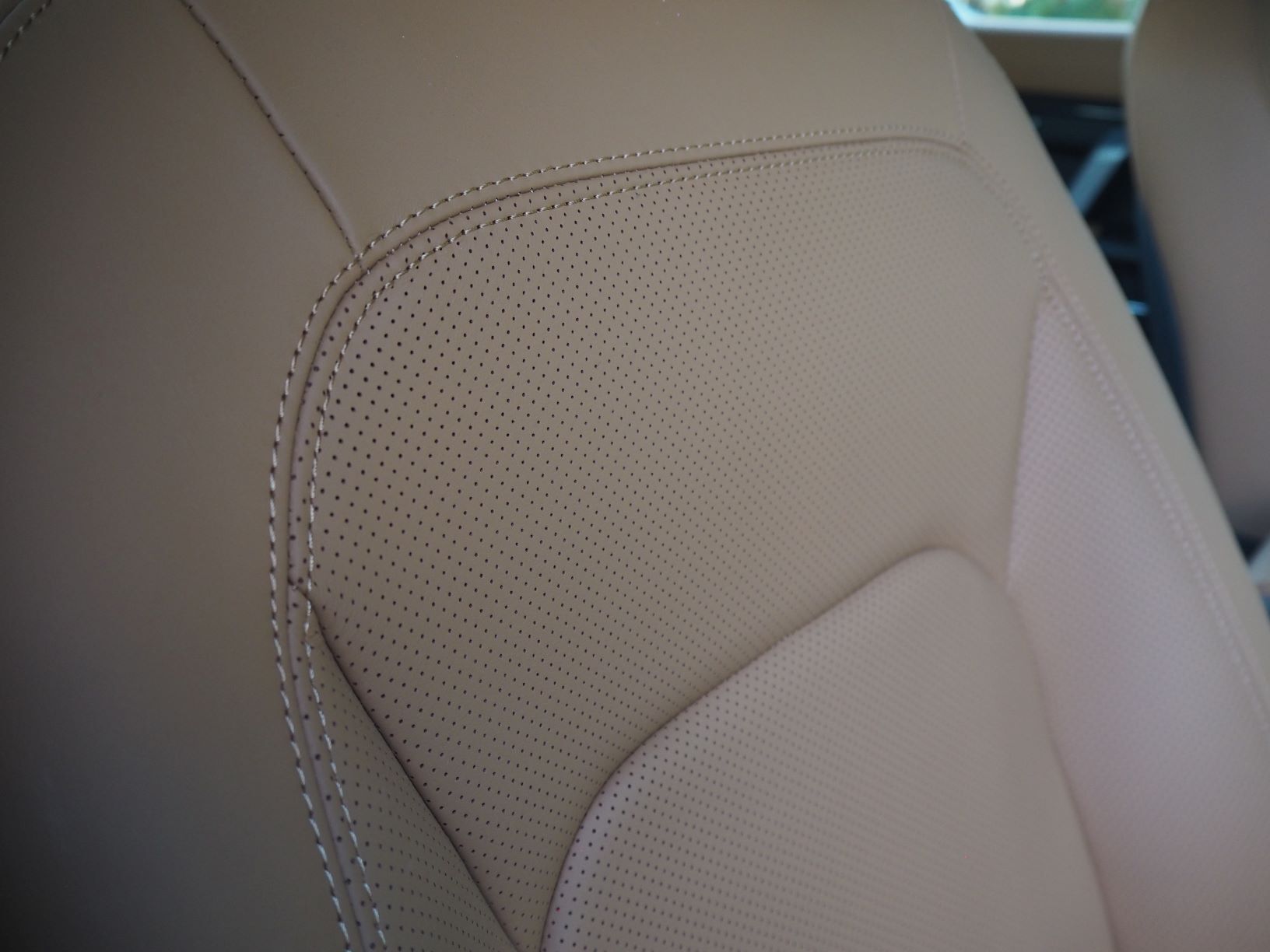 PA093354.JPG