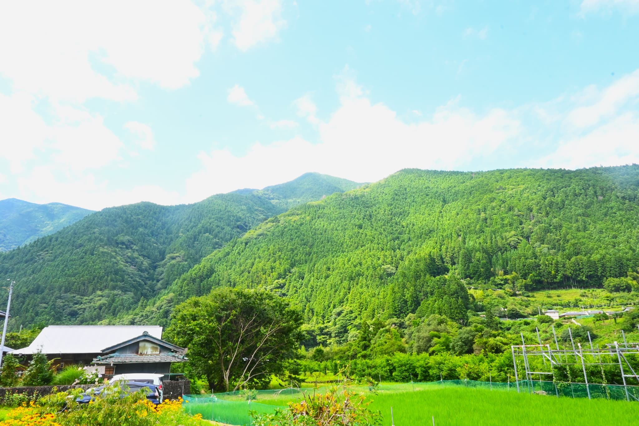 DSC_0898.JPG