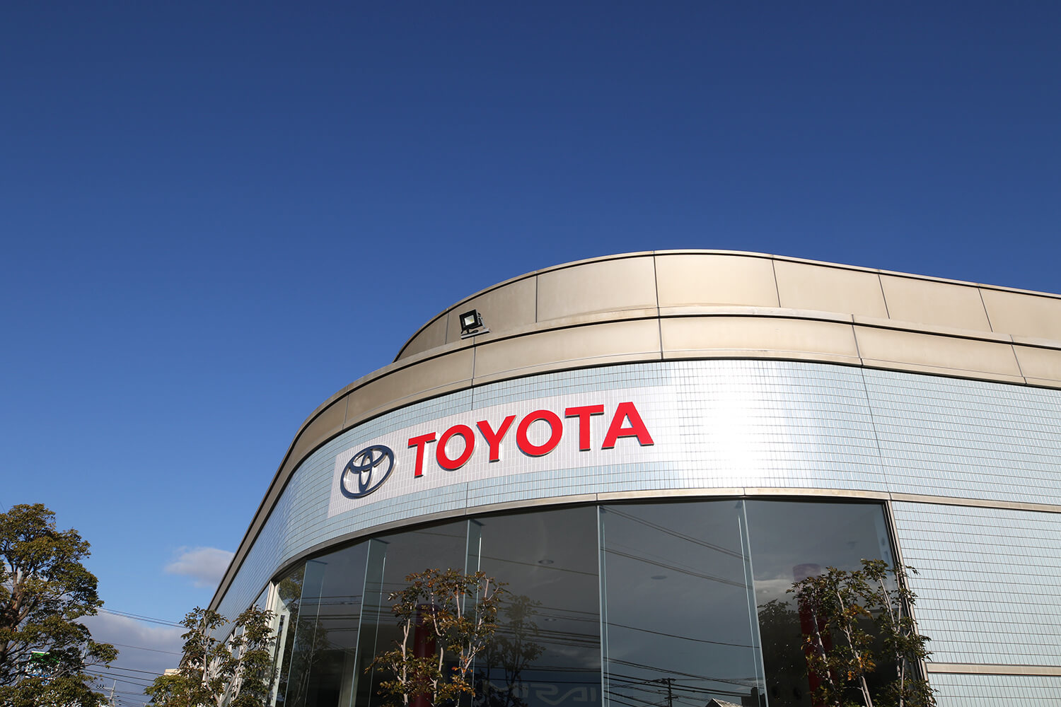 TOYOTA3.jpg